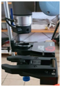 挪威Smart shif1.png